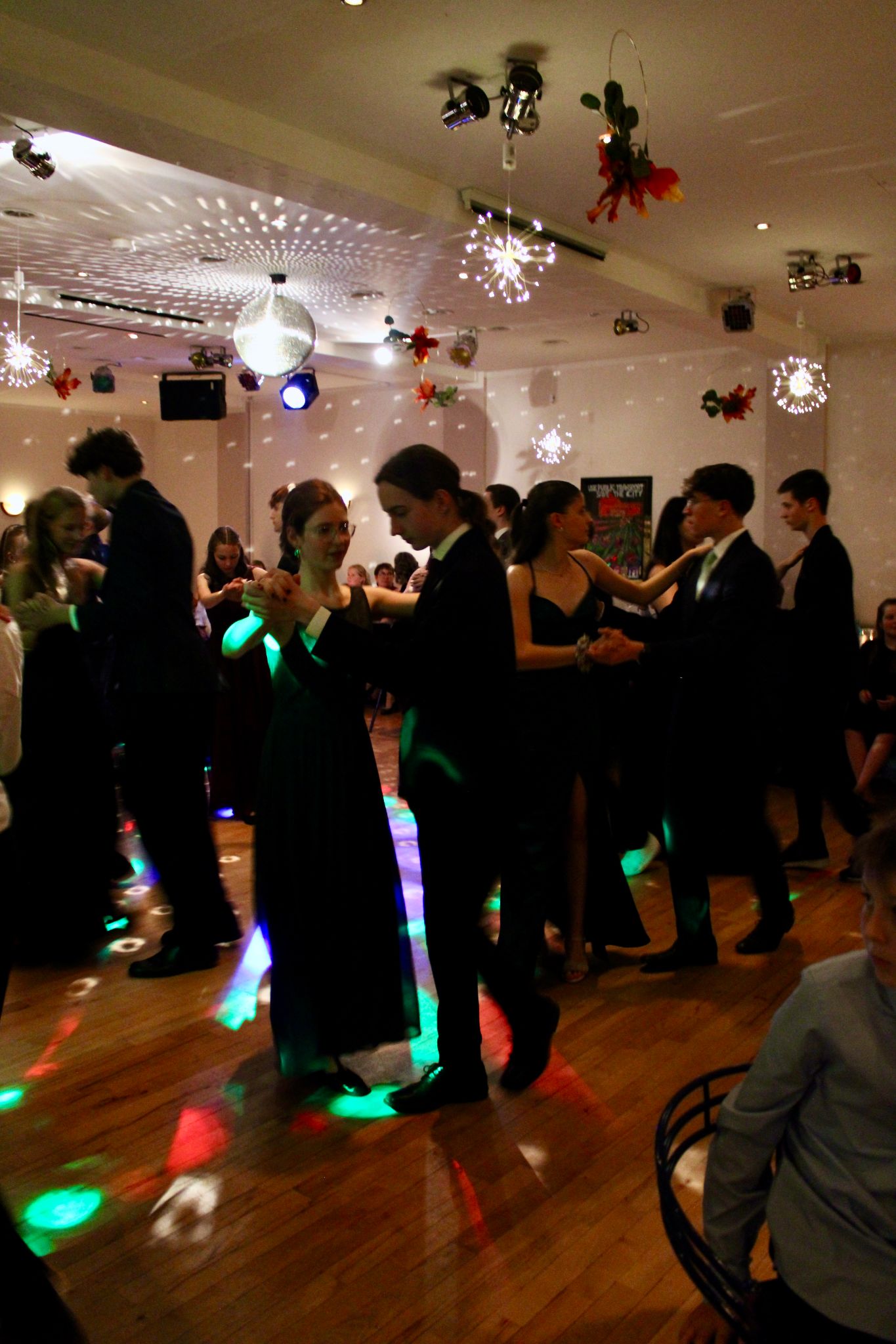 IMG 4541