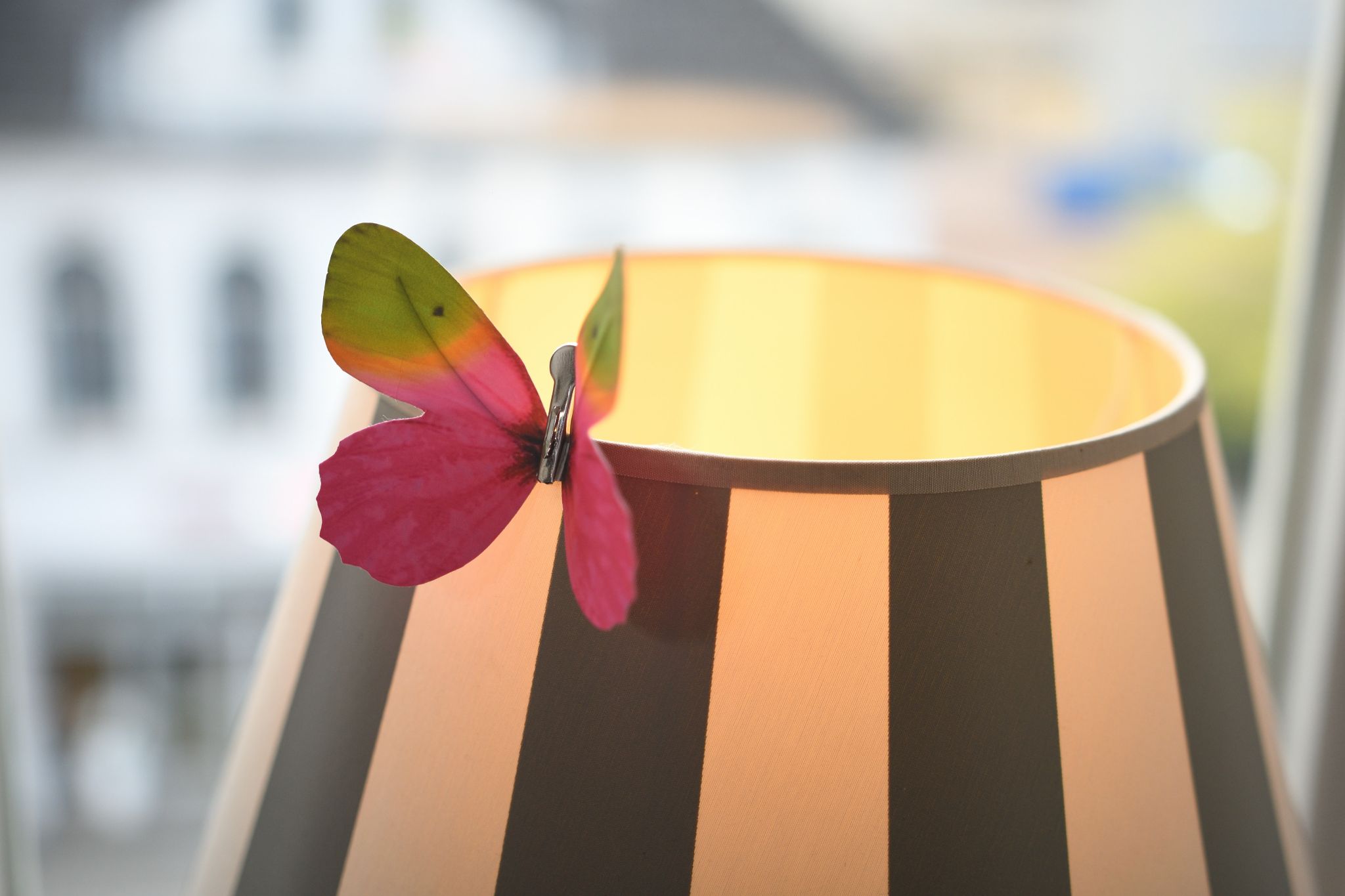 Lenard Ball 2024 04 27 006