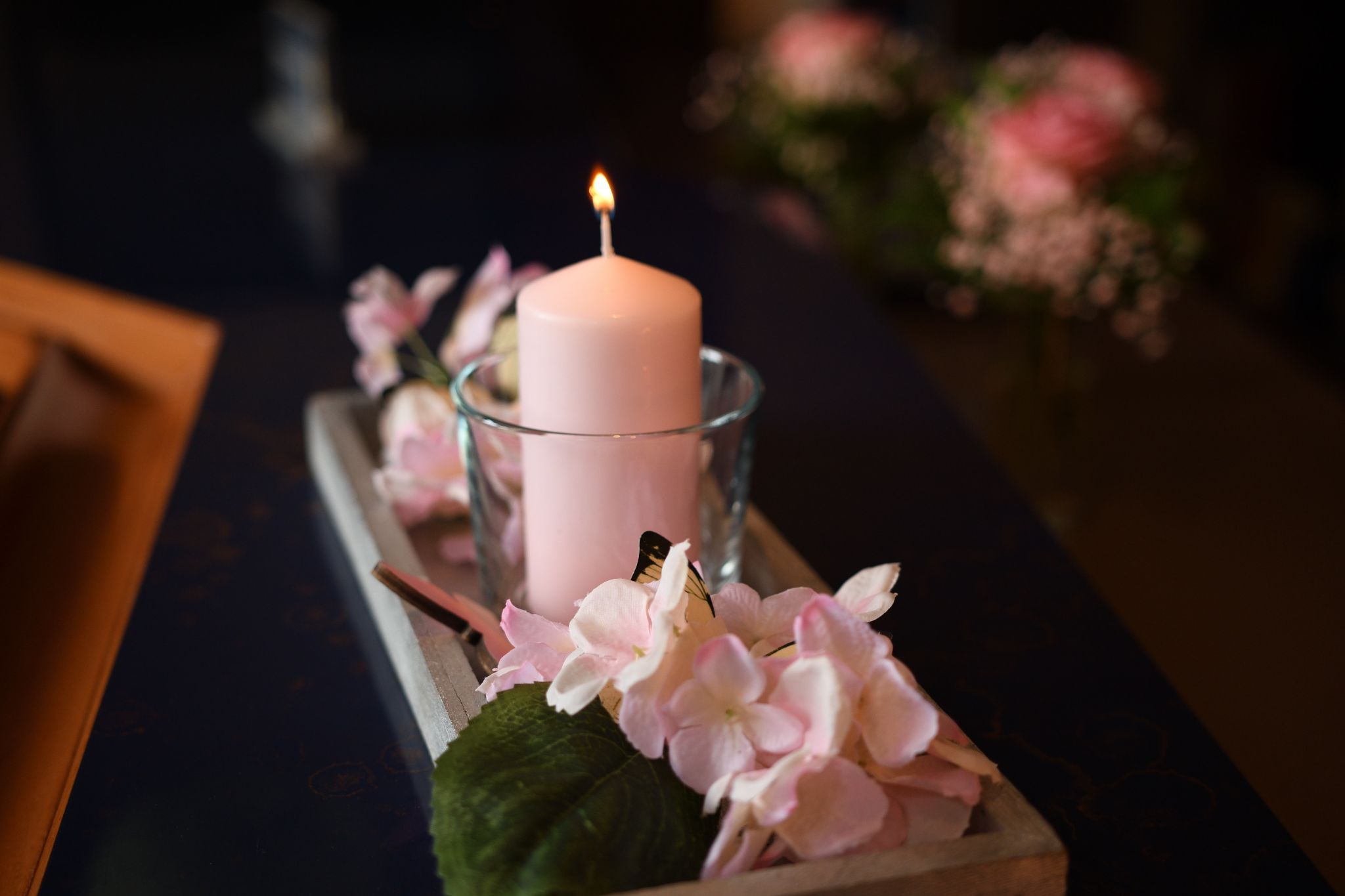 Lenard Ball 2024 04 27 008