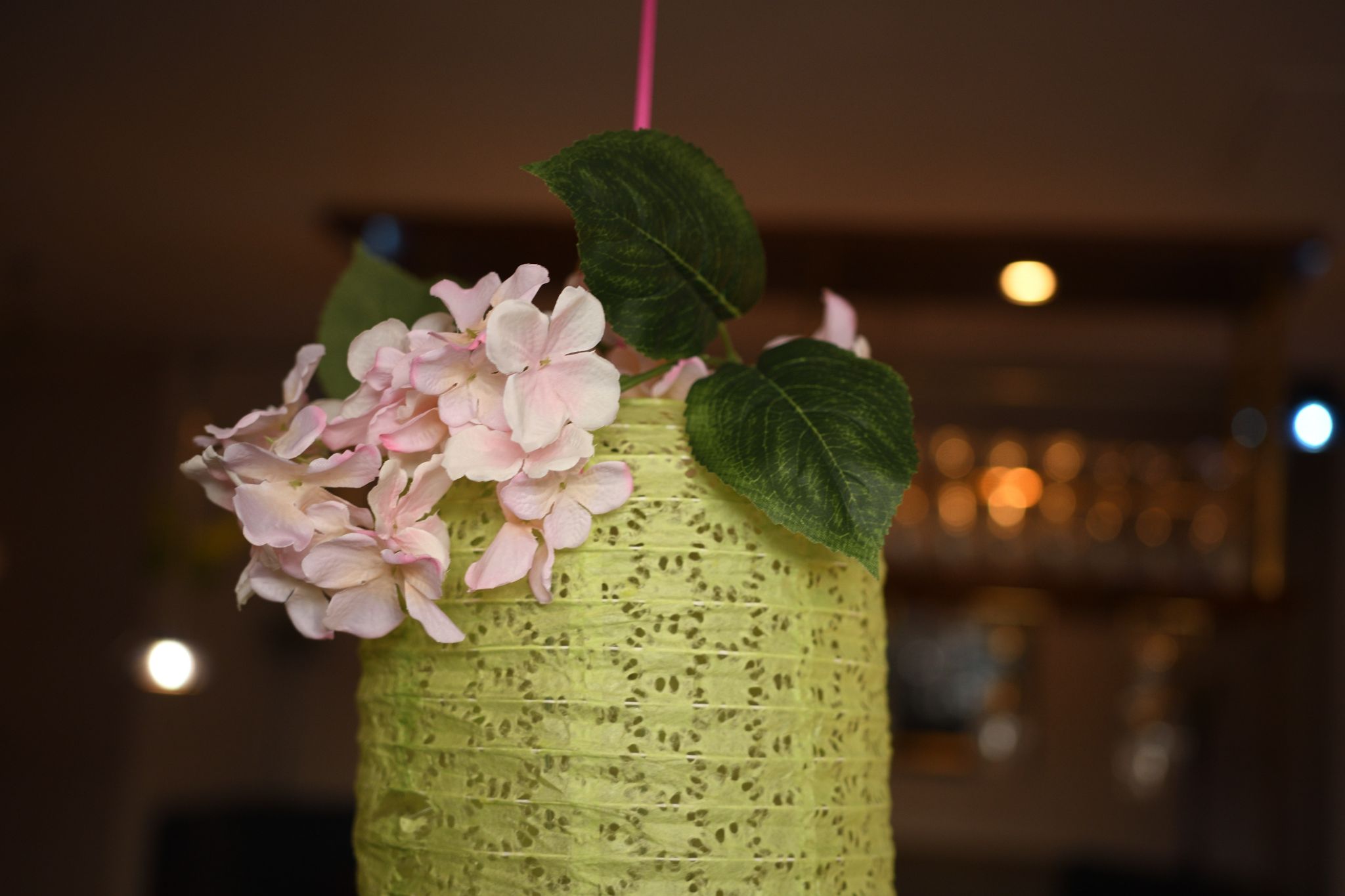 Lenard Ball 2024 04 27 010