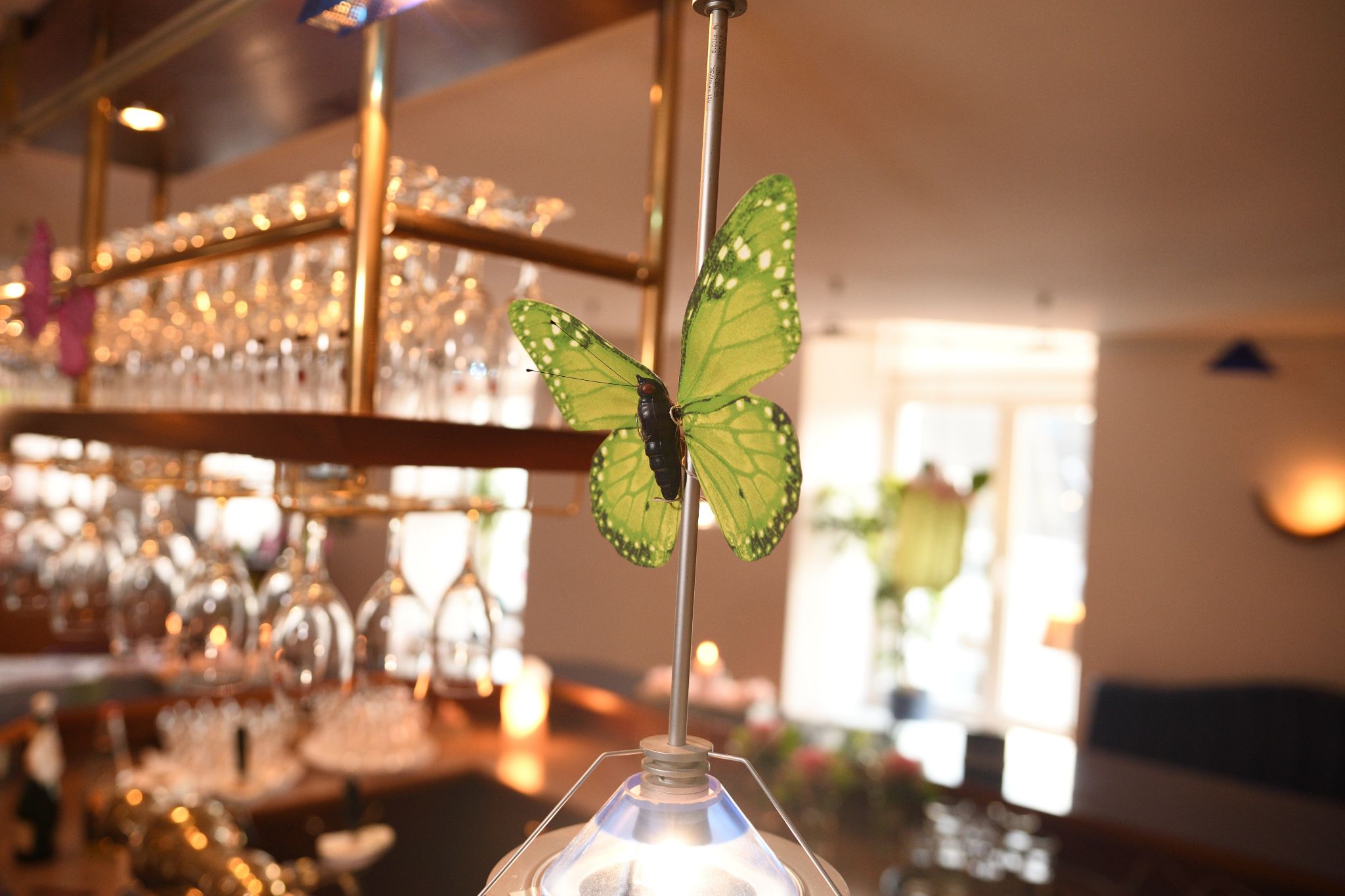 Lenard Ball 2024 04 27 023