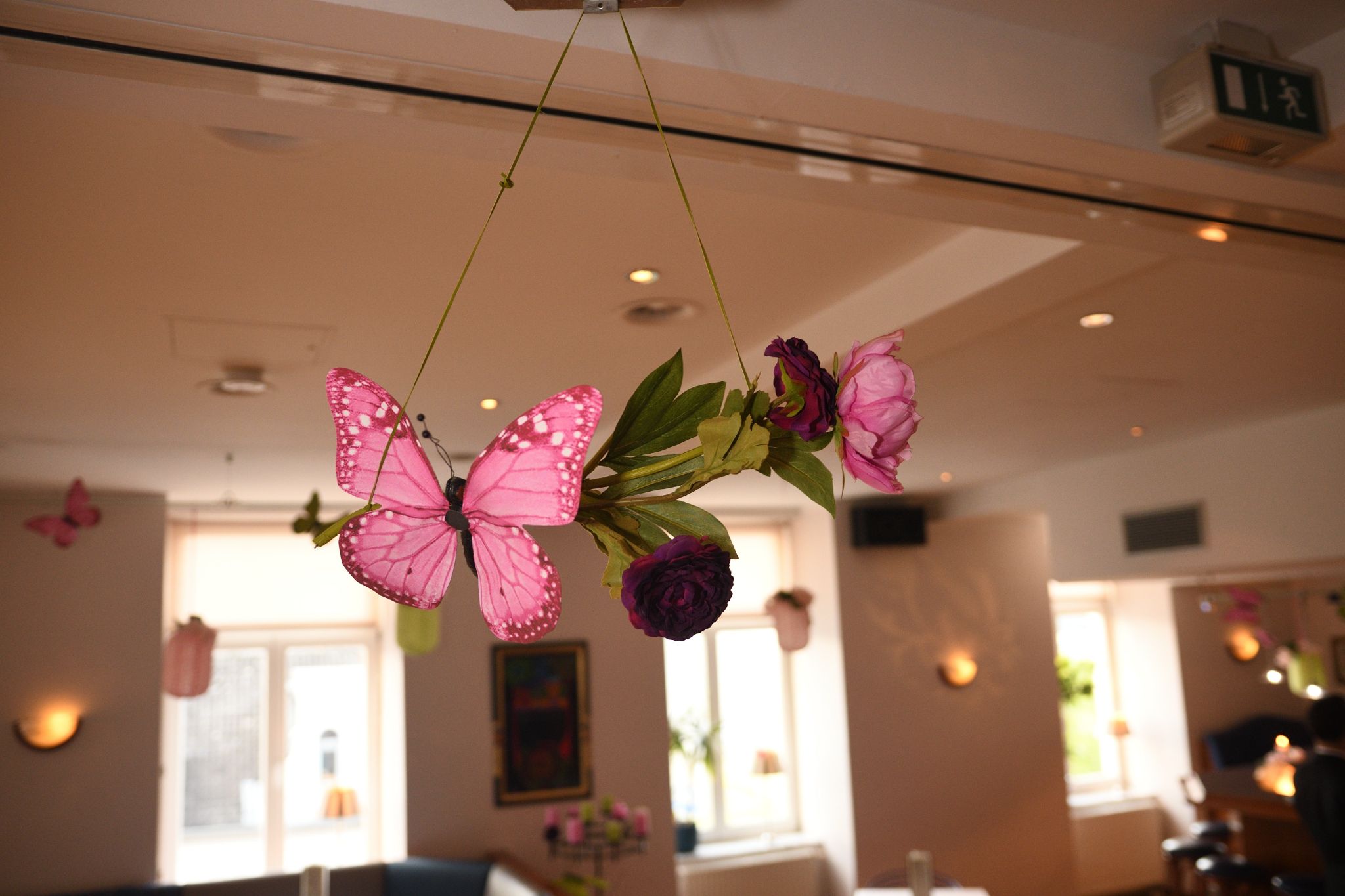 Lenard Ball 2024 04 27 024