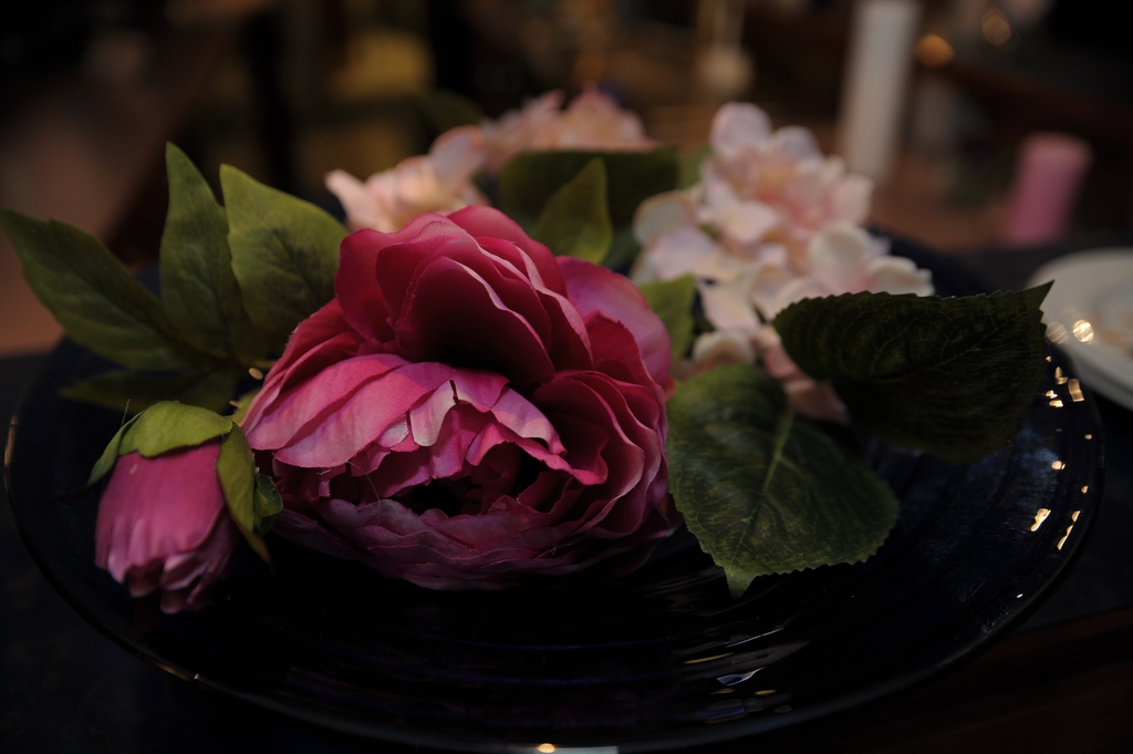 2018 04 30 lenard tanz in den mai 026