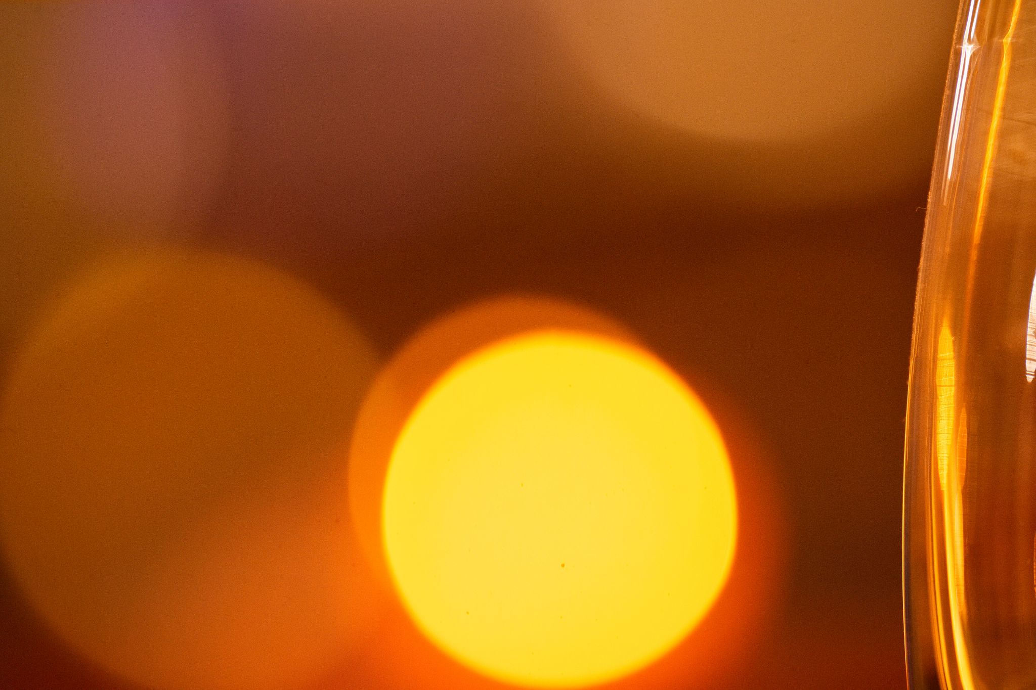 DSC03611